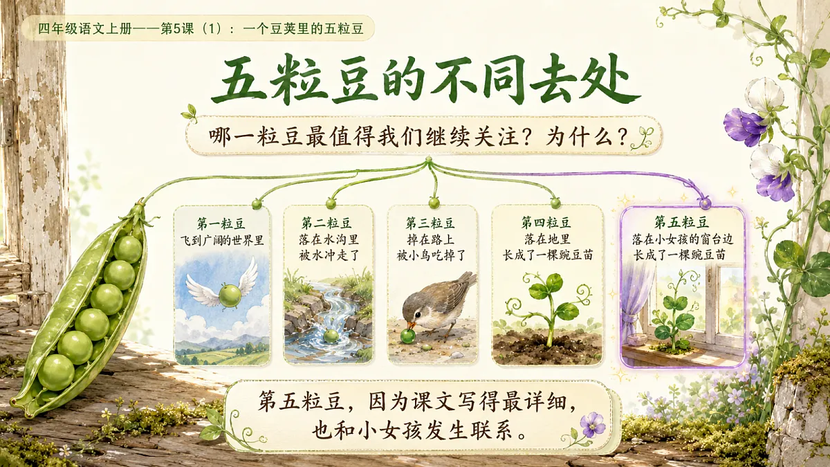 小学六年制统编教材系列课件——四年级语文上册第5课(1):一个豆荚里的五粒豆第7页