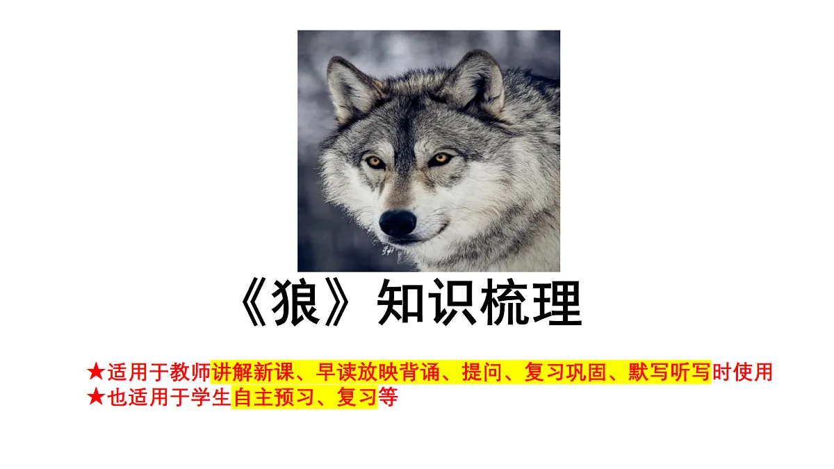 18469206第1页