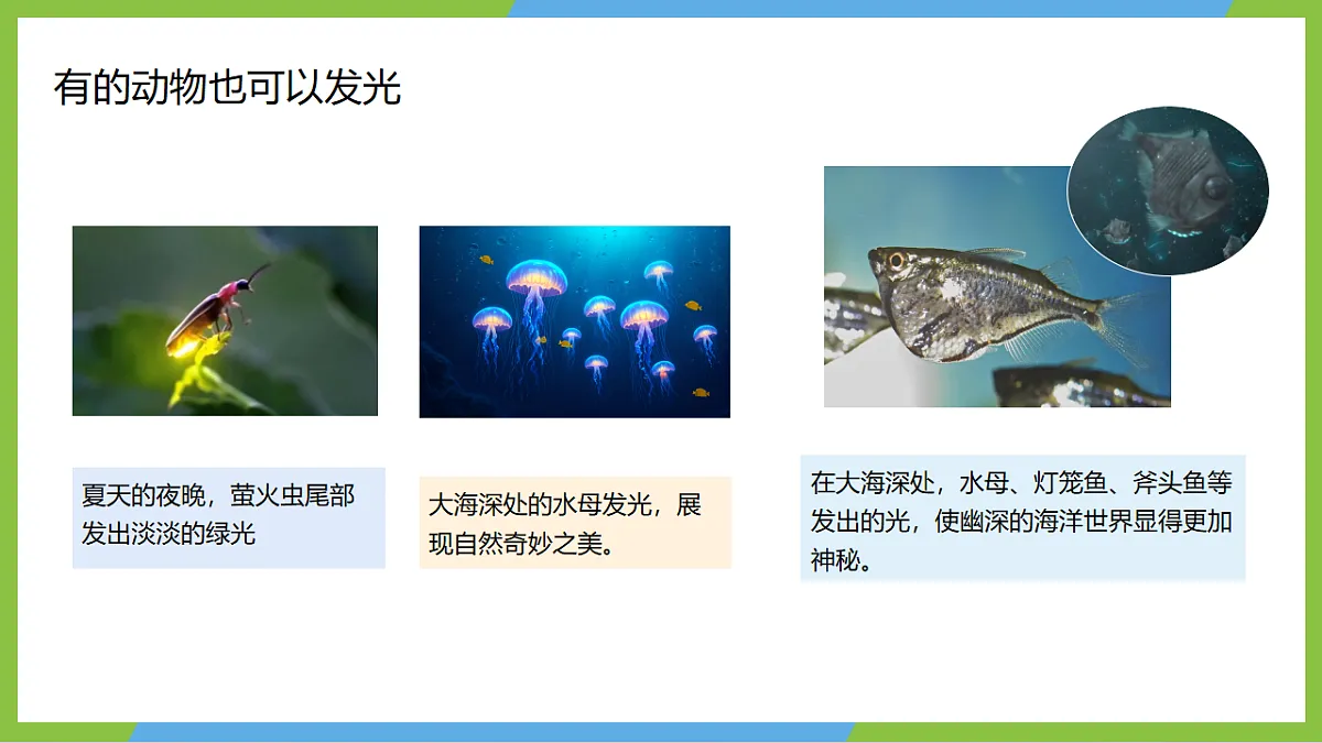 人教版物理八上4.1《光的直线传播》(教学课件)第8页
