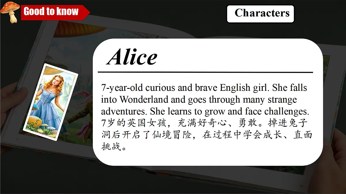 18478566第5页