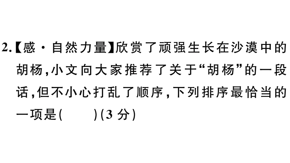 18479282第6页