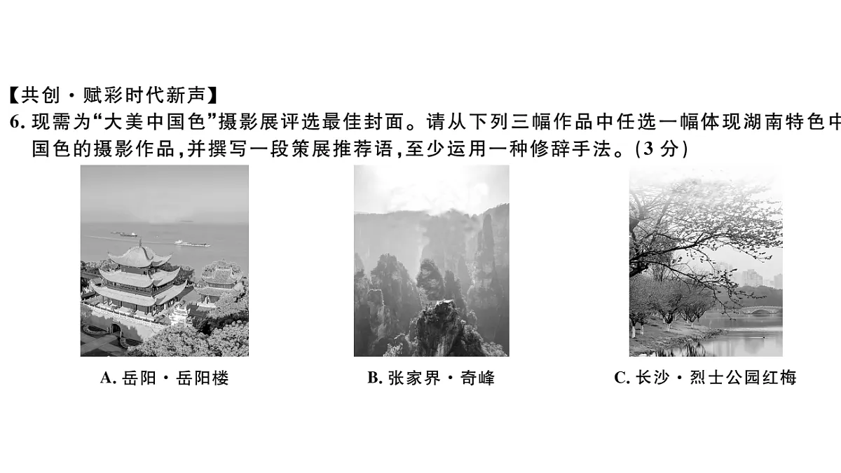 18479301第8页