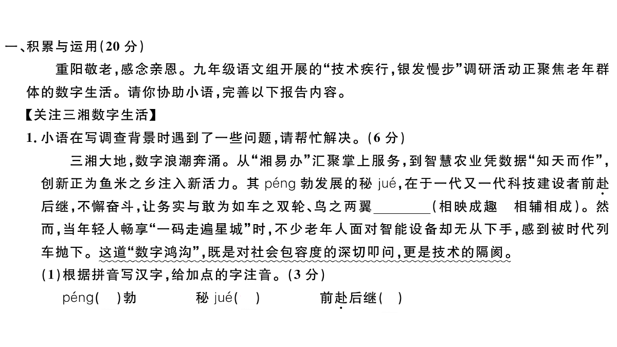 18479319第2页