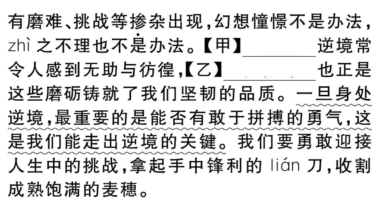 18479355第3页