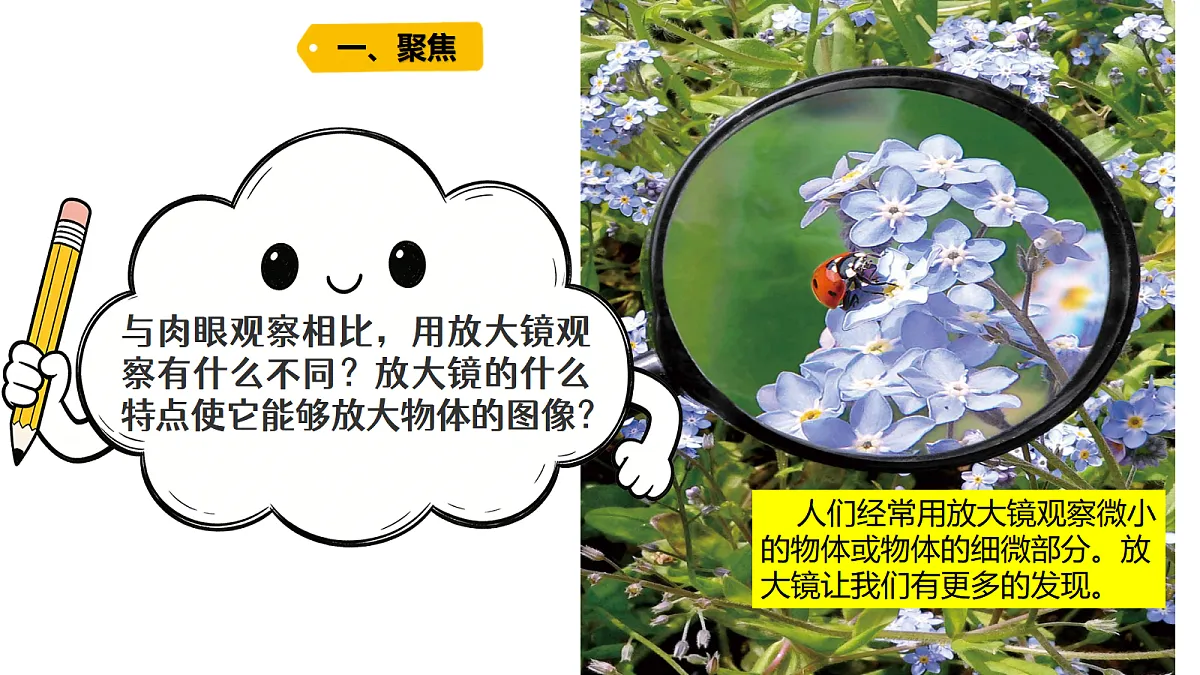 18479491第4页