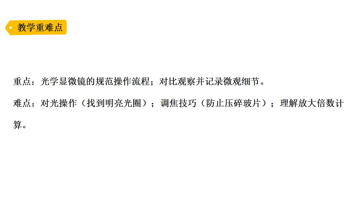 18479494第3页