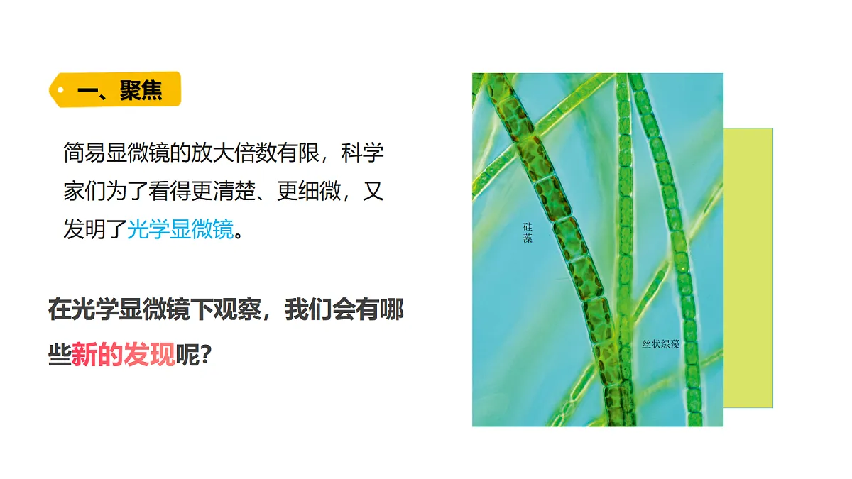 18479494第4页