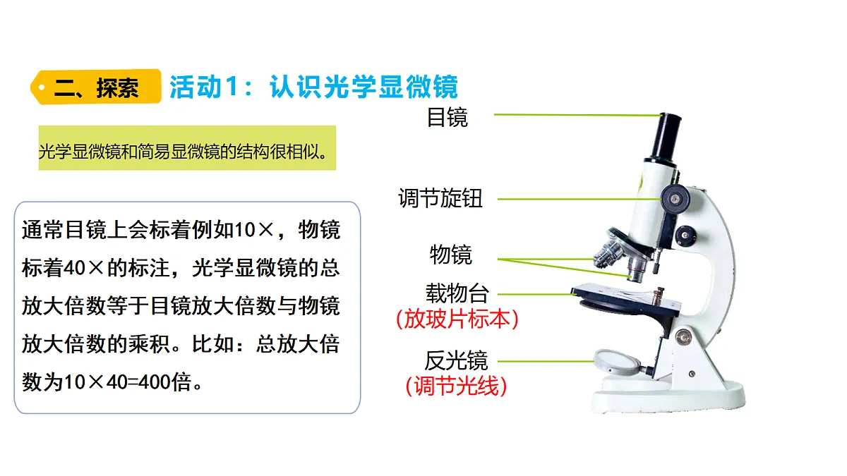 18479494第5页