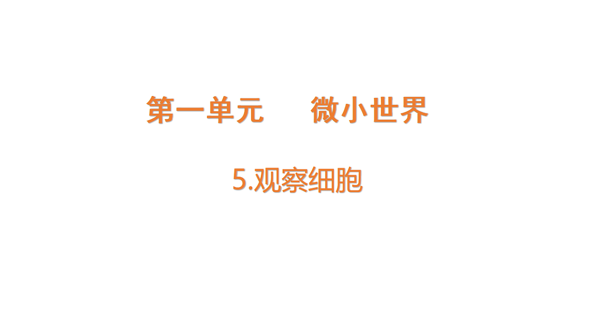 18479495第1页