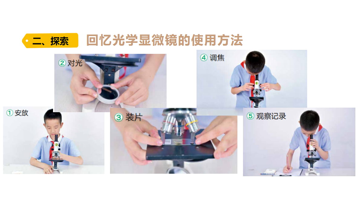 18479495第5页