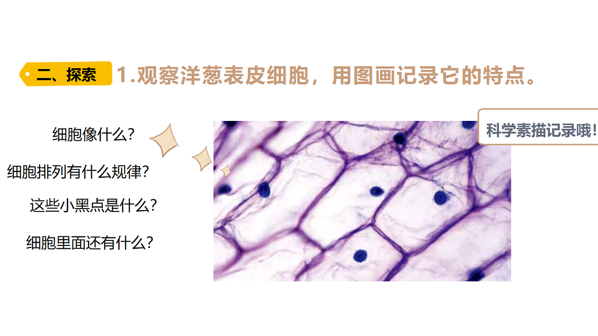 18479495第6页