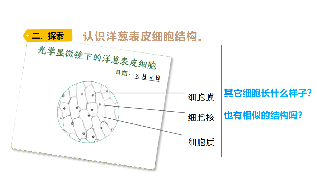 18479495第7页
