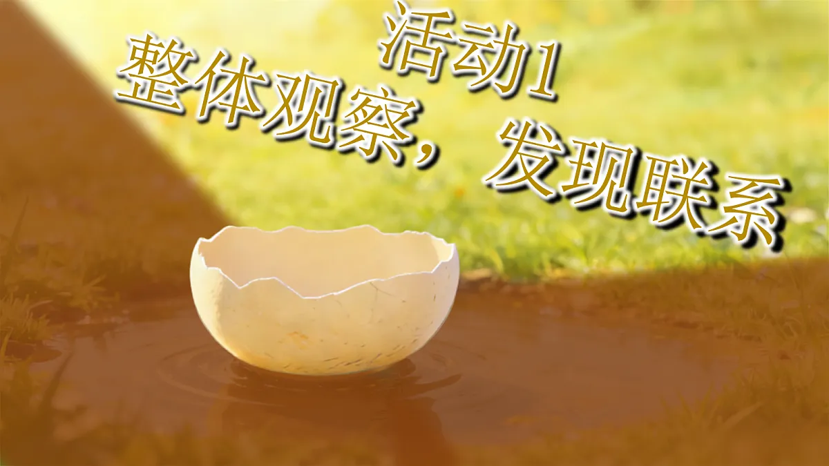 二下 第4单元写话第5页