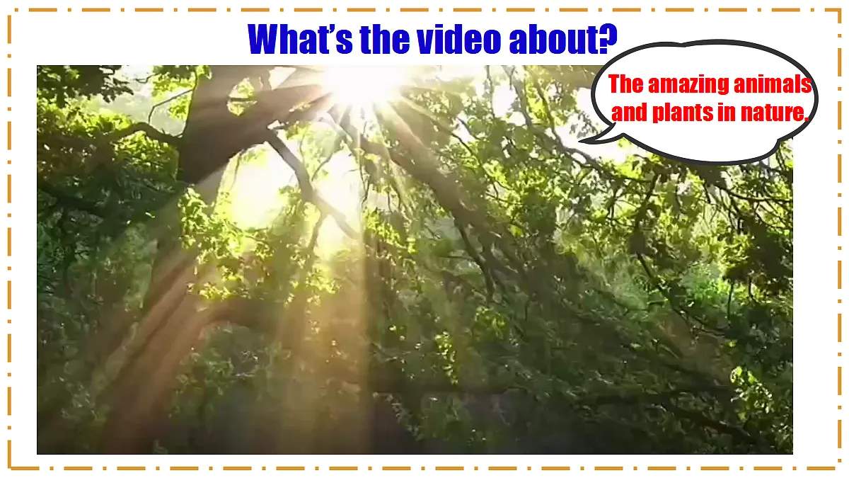 Unit 4 Amazing Plants and Animals Section A(1a-1d) - 八年级英语上册 同步教学课件(人教版2024)第4页
