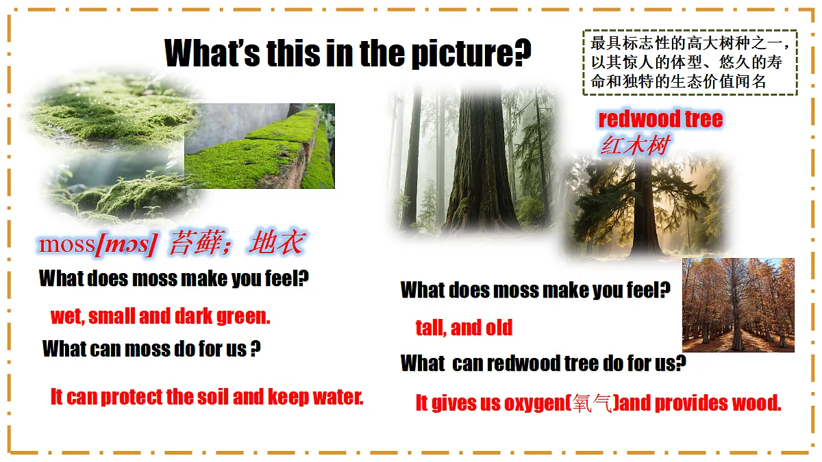 Unit 4 Amazing Plants and Animals Section A(1a-1d) - 八年级英语上册 同步教学课件(人教版2024)第6页