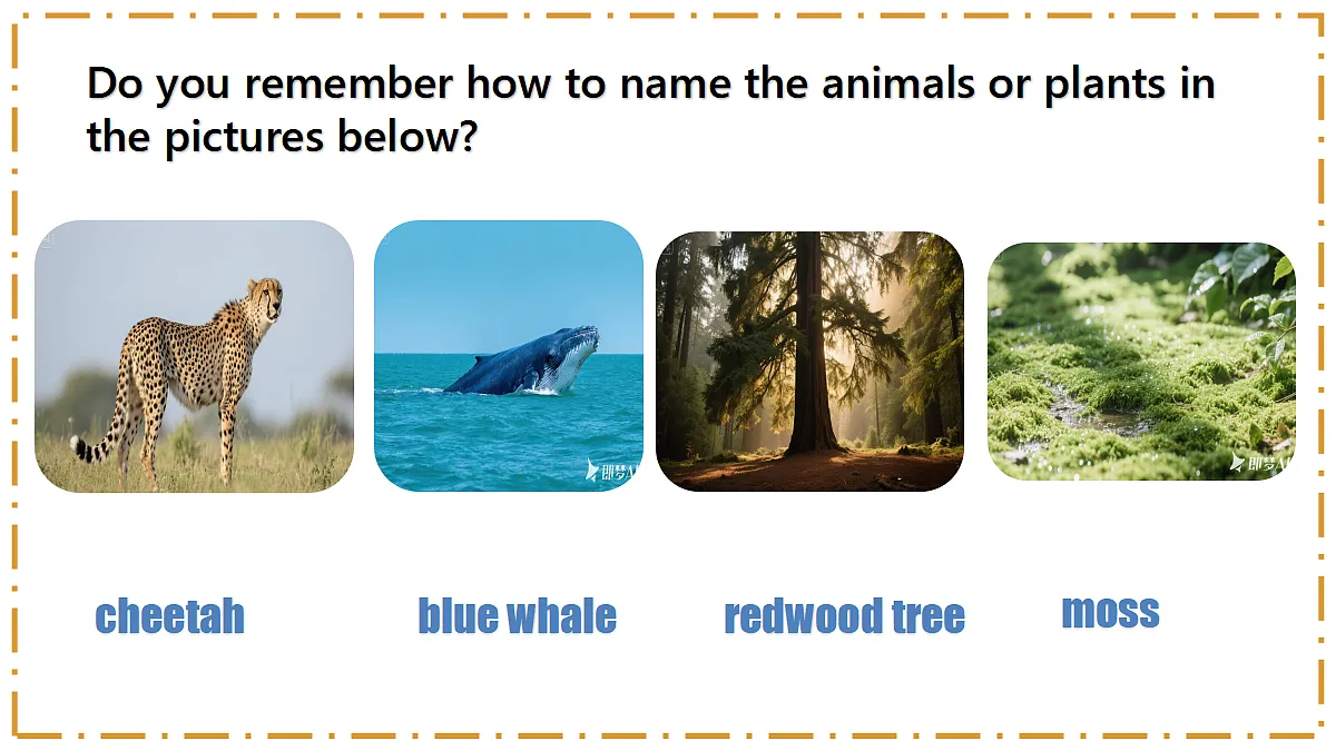Unit 4 Amazing Plants and Animals Section A(1a-1d) - 八年级英语上册 同步教学课件(人教版2024)第8页