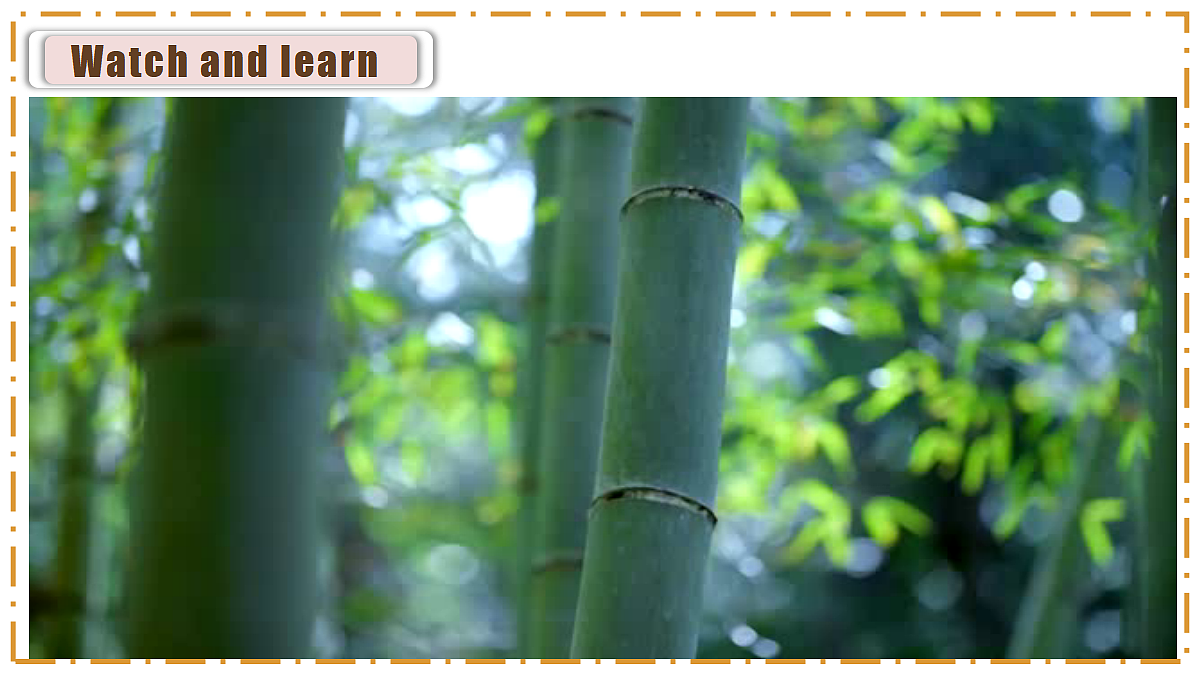 Unit 4 Amazing Plants and Animals Section A(2a-2e) - 八年级英语上册 同步教学课件(人教版2024)第3页