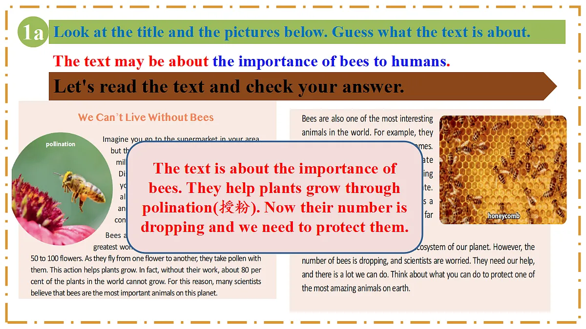 Unit 4 Amazing Plants and Animals Section B(1a-1f) - 八年级英语上册 同步教学课件(人教版2024)第4页