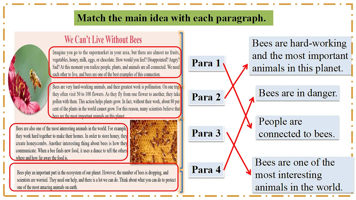 Unit 4 Amazing Plants and Animals Section B(1a-1f) - 八年级英语上册 同步教学课件(人教版2024)第6页