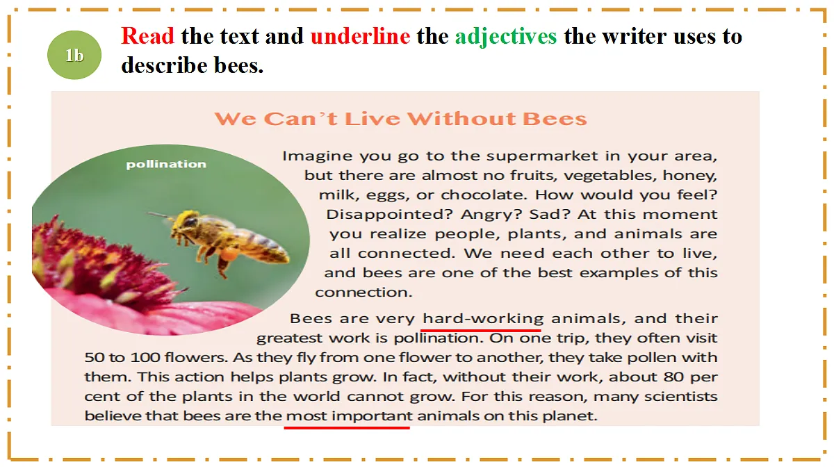 Unit 4 Amazing Plants and Animals Section B(1a-1f) - 八年级英语上册 同步教学课件(人教版2024)第7页