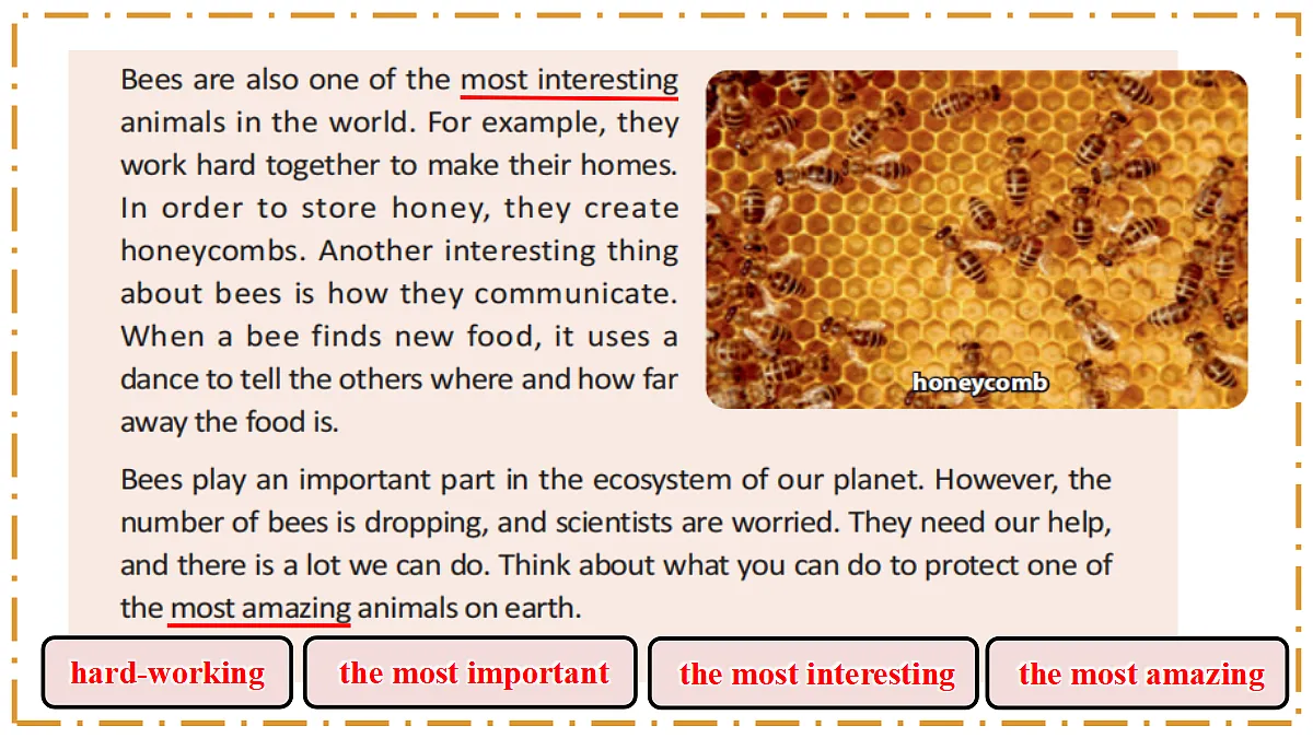 Unit 4 Amazing Plants and Animals Section B(1a-1f) - 八年级英语上册 同步教学课件(人教版2024)第8页