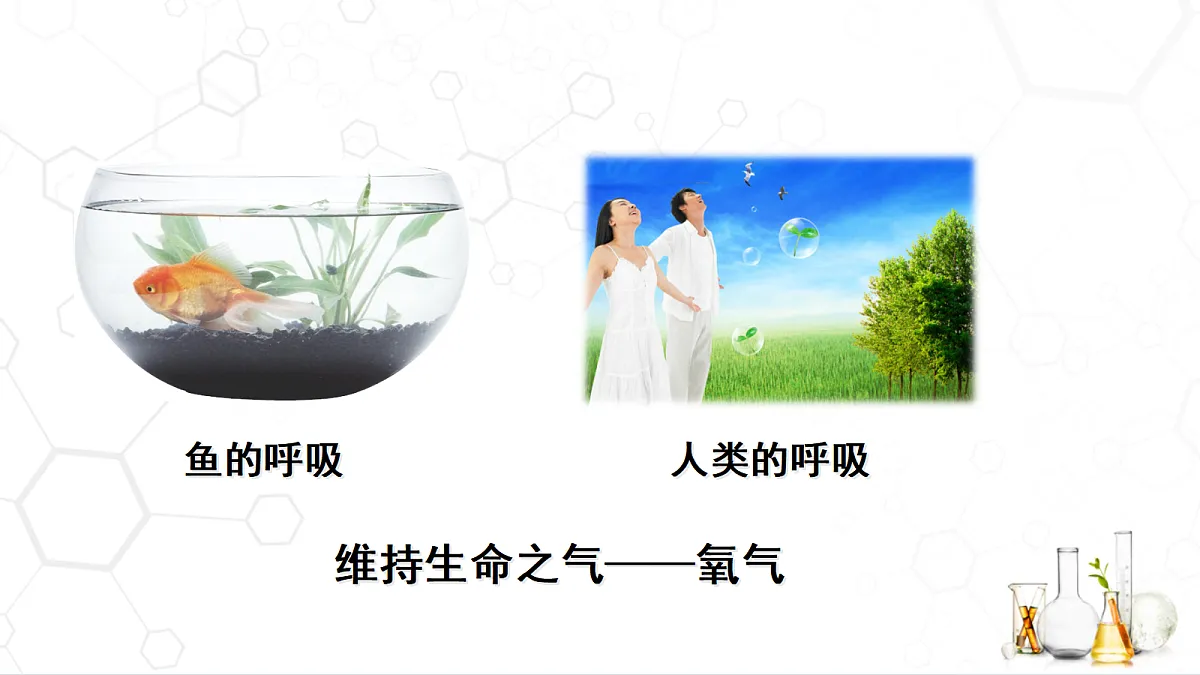 18480890第3页