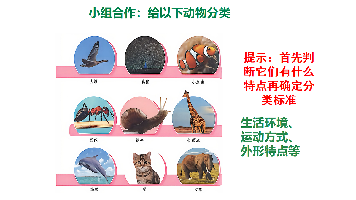 18481370第4页