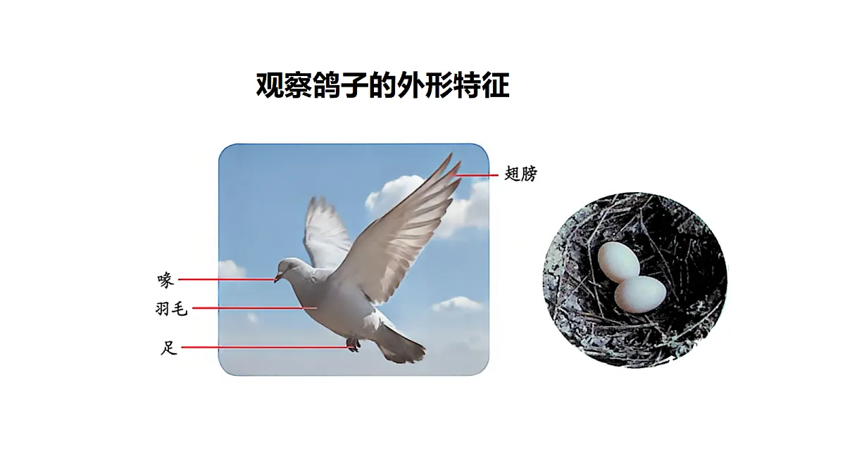 18481372第5页