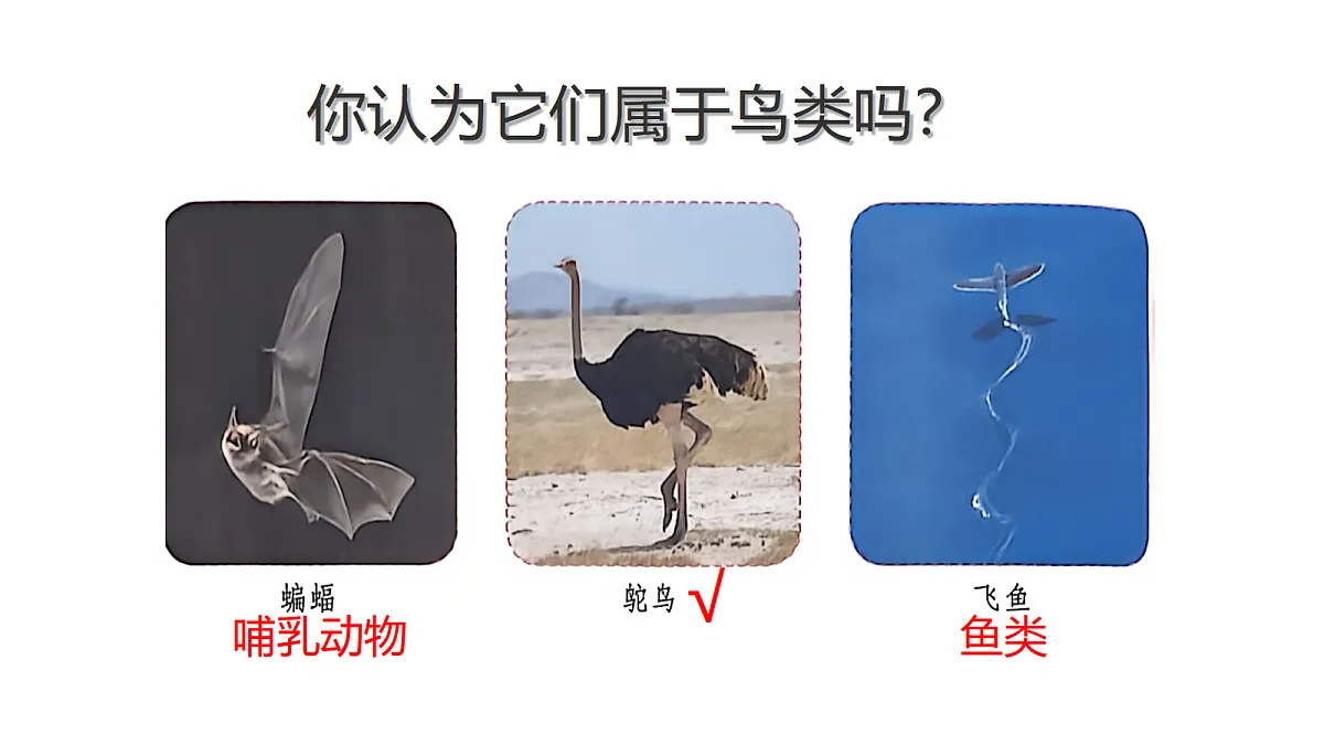 18481372第8页