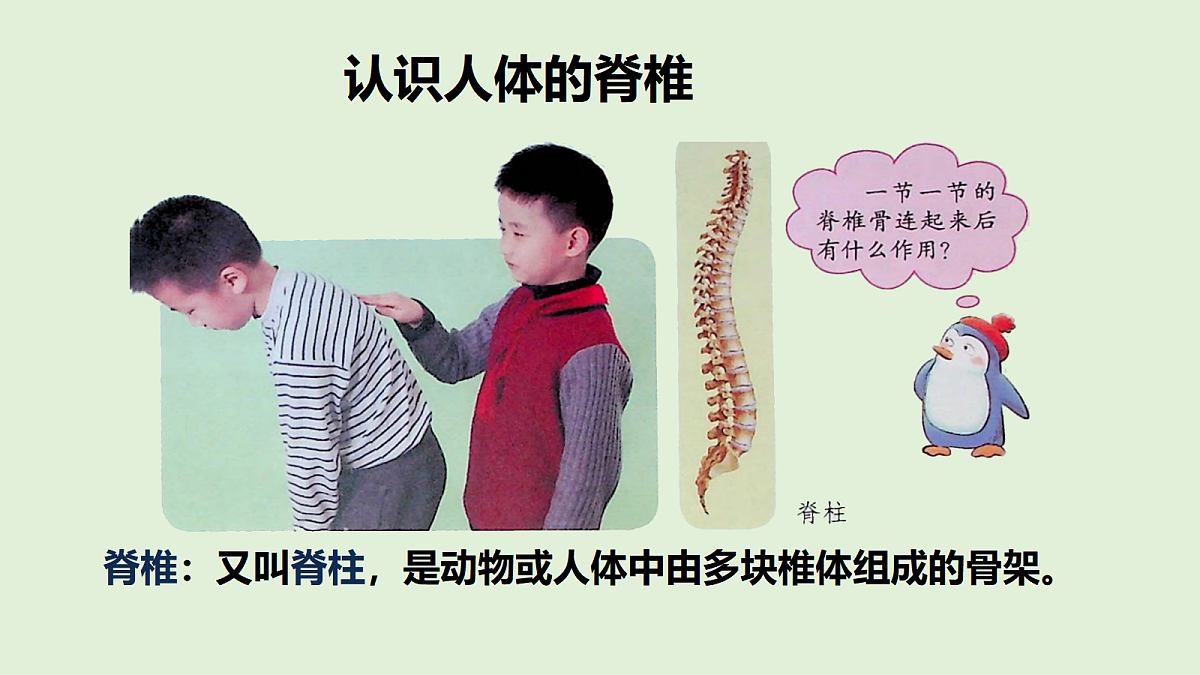 18481389第7页