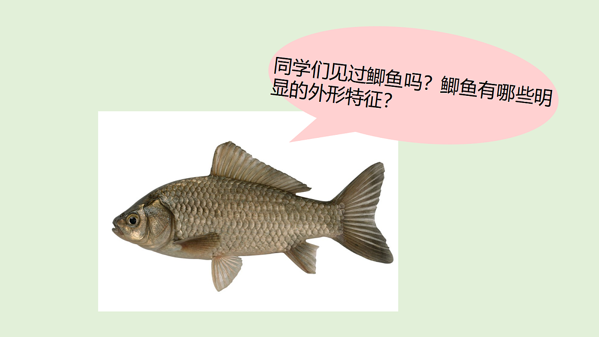 18481391第2页