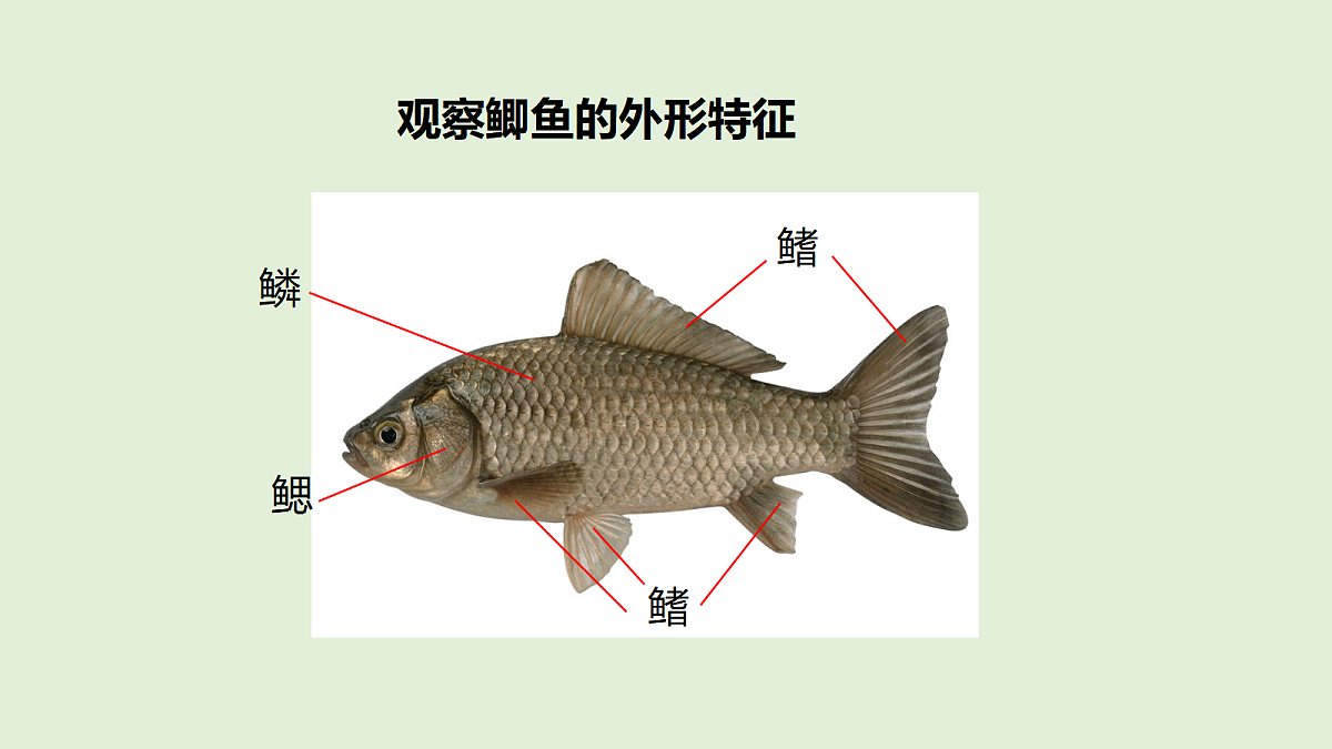 18481391第3页