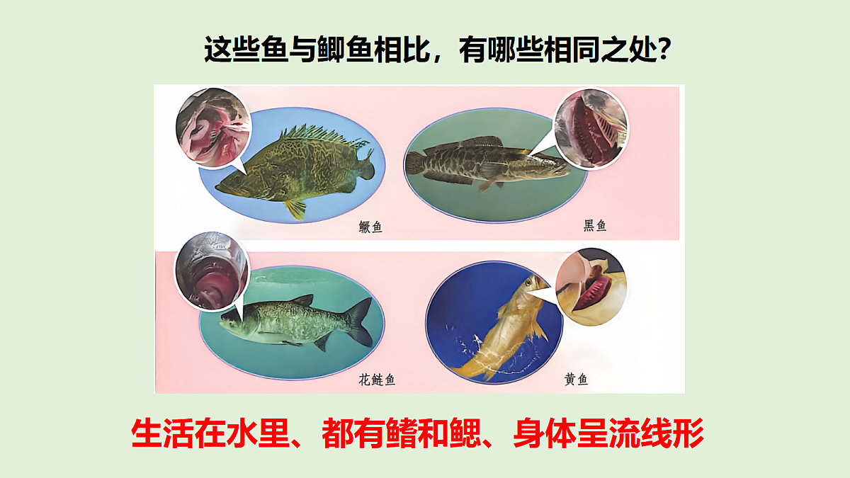 18481391第4页