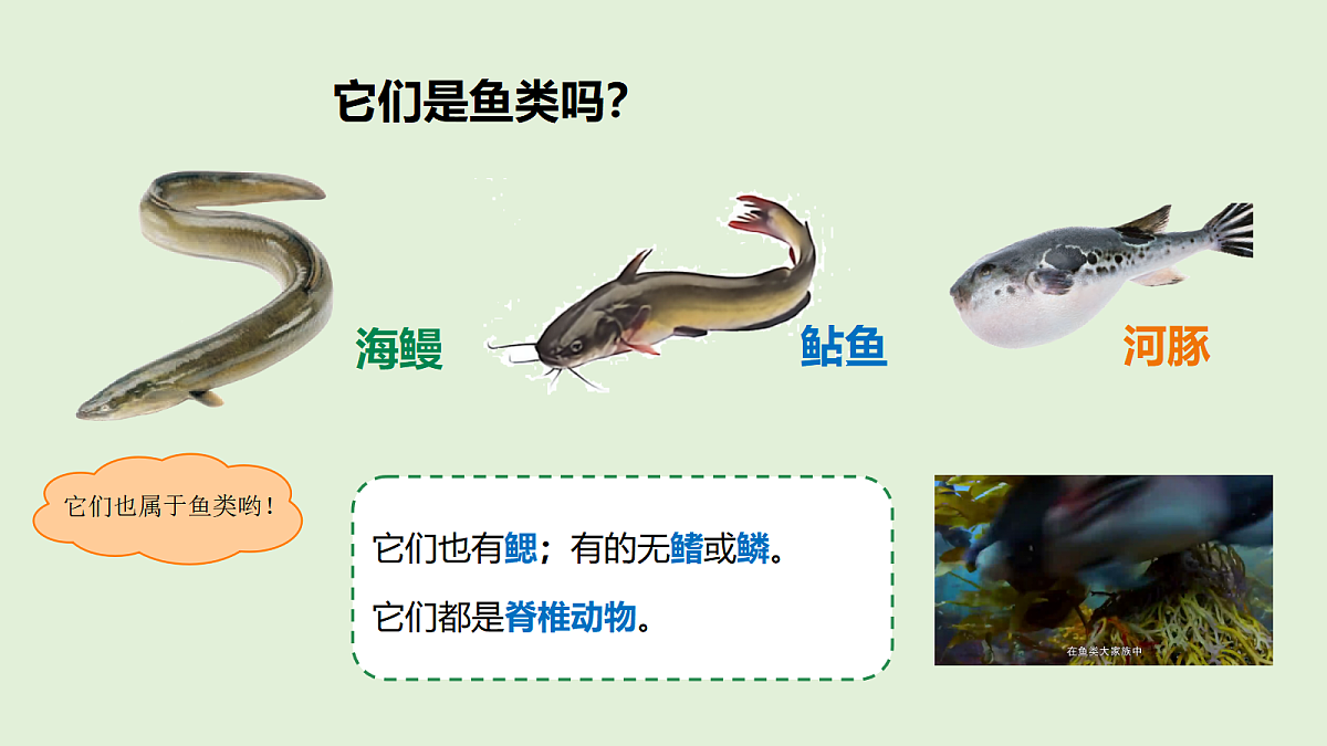 18481391第5页