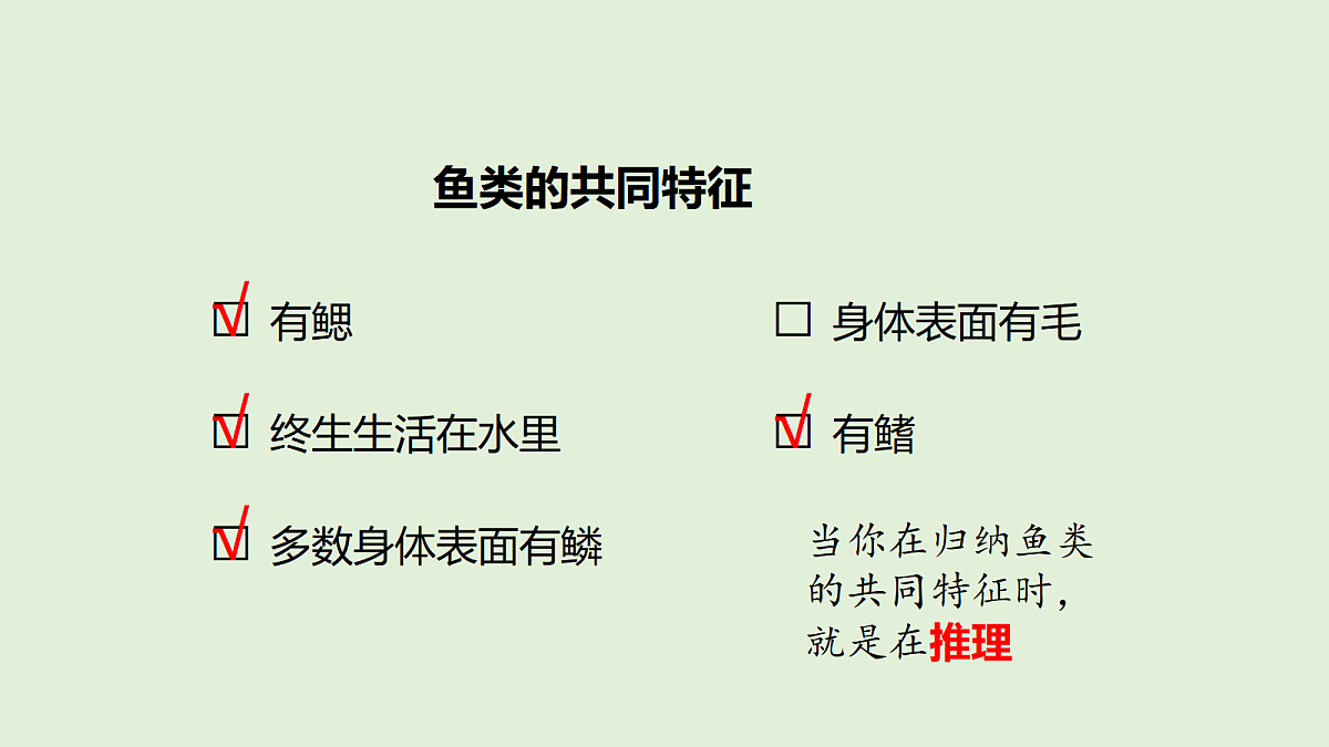 18481391第6页