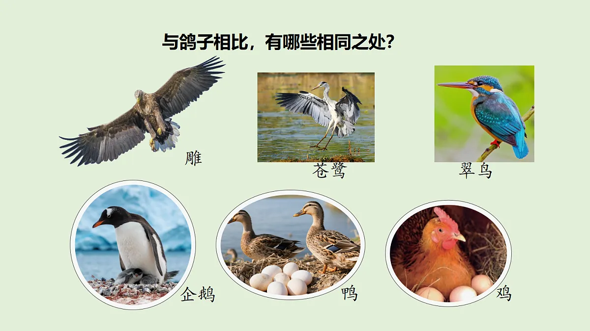 18481393第4页