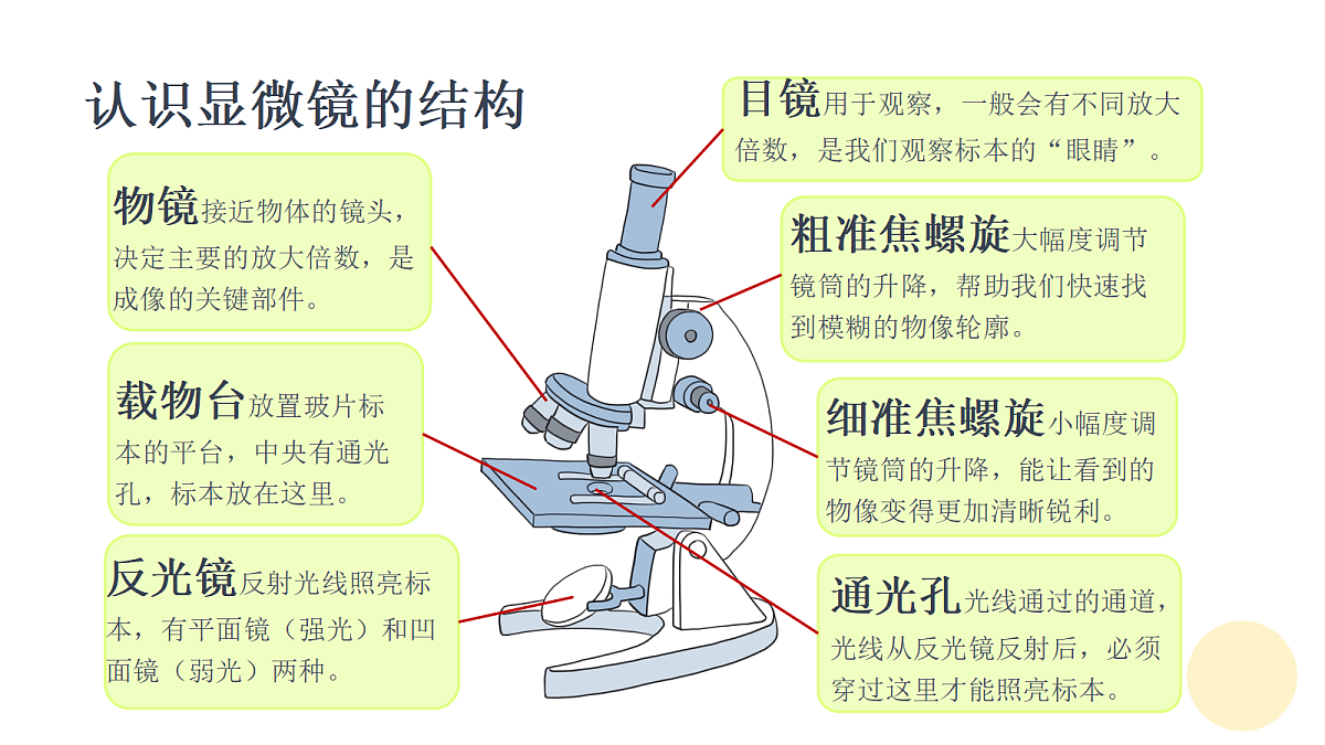 18481899第5页