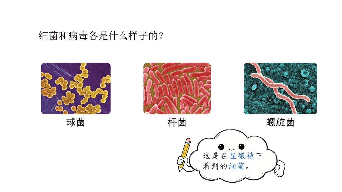 18481901第8页