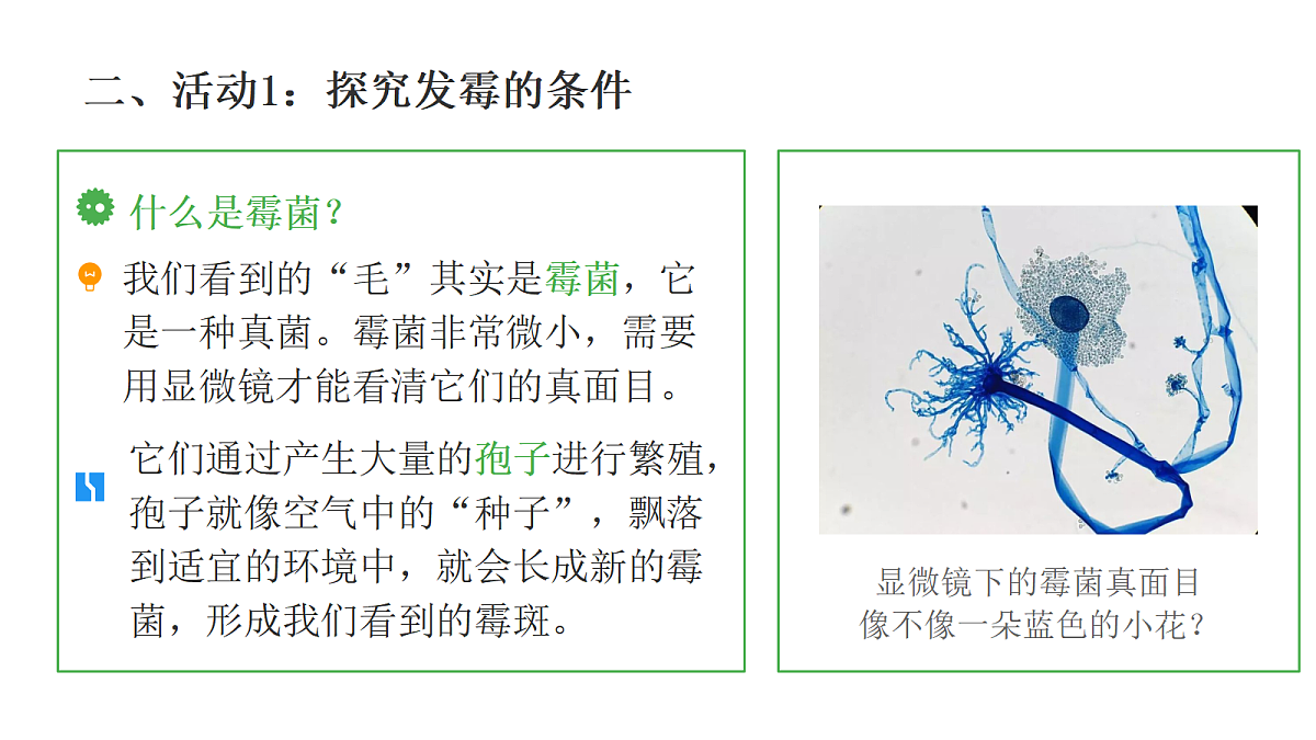 18481902第3页