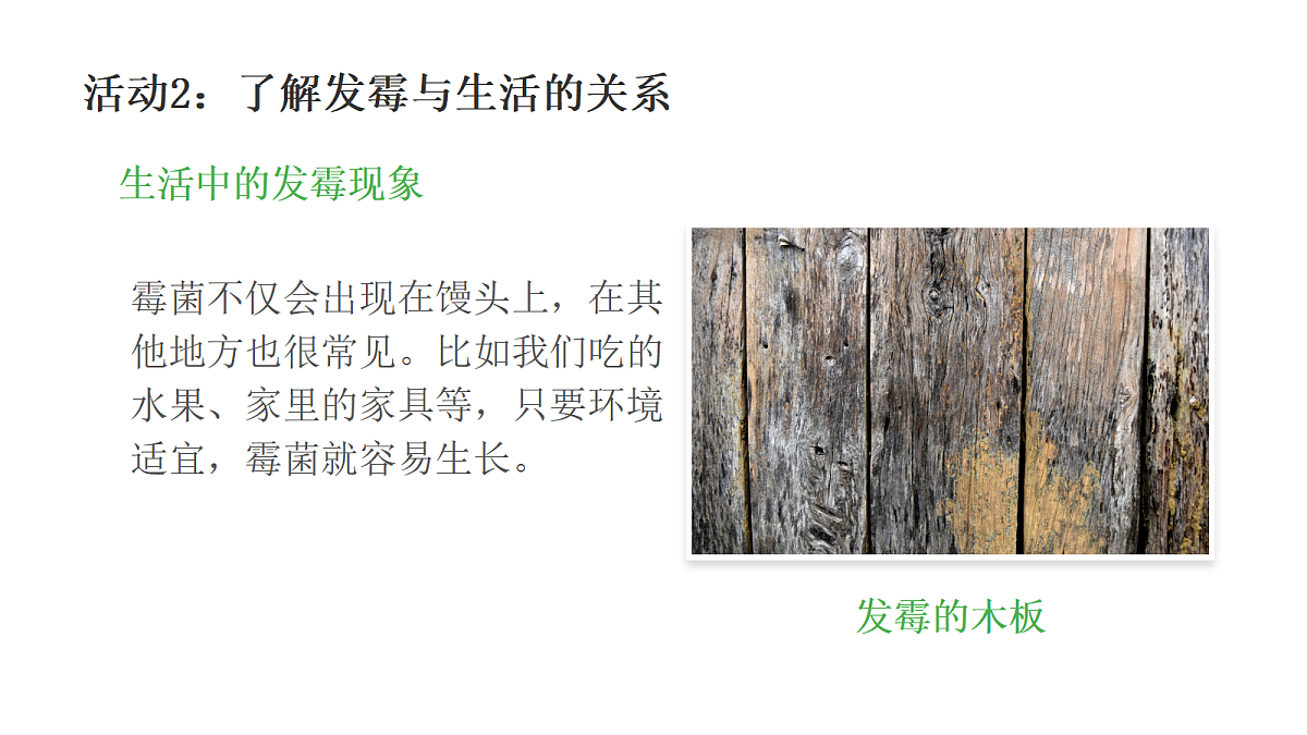 18481902第8页