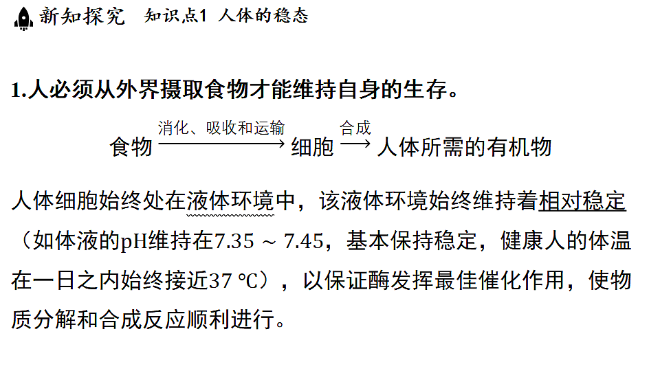 18482237第4页