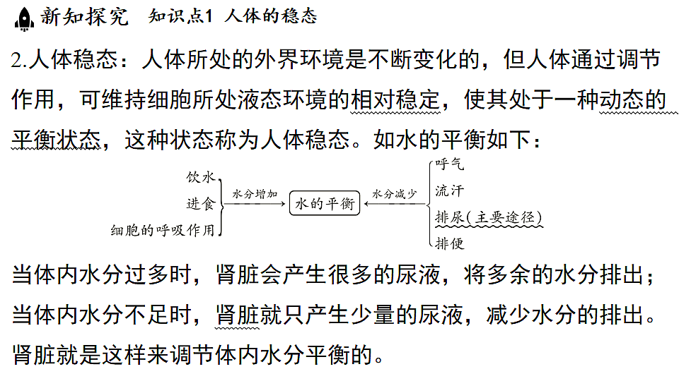 18482237第6页