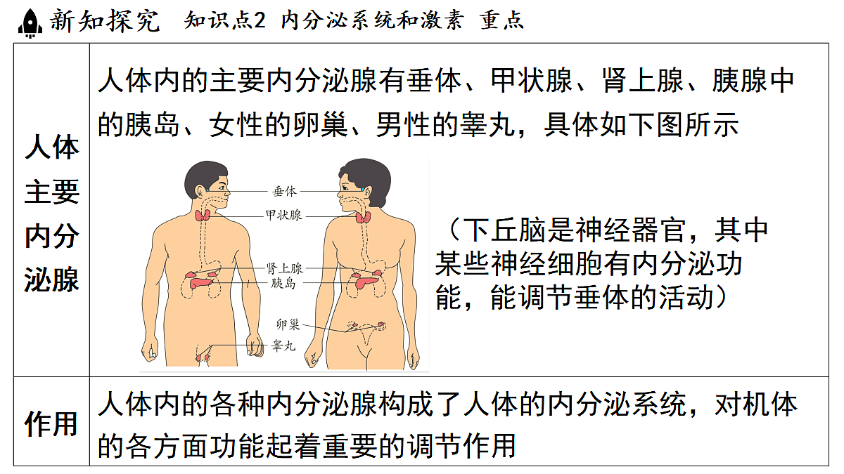 18482238第8页