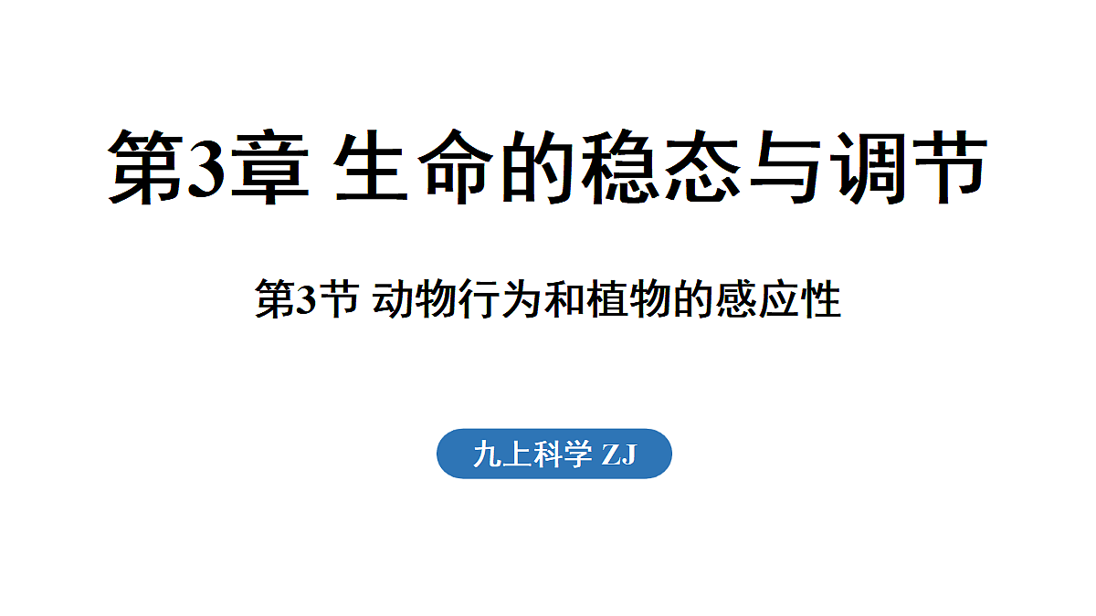 18482239第1页