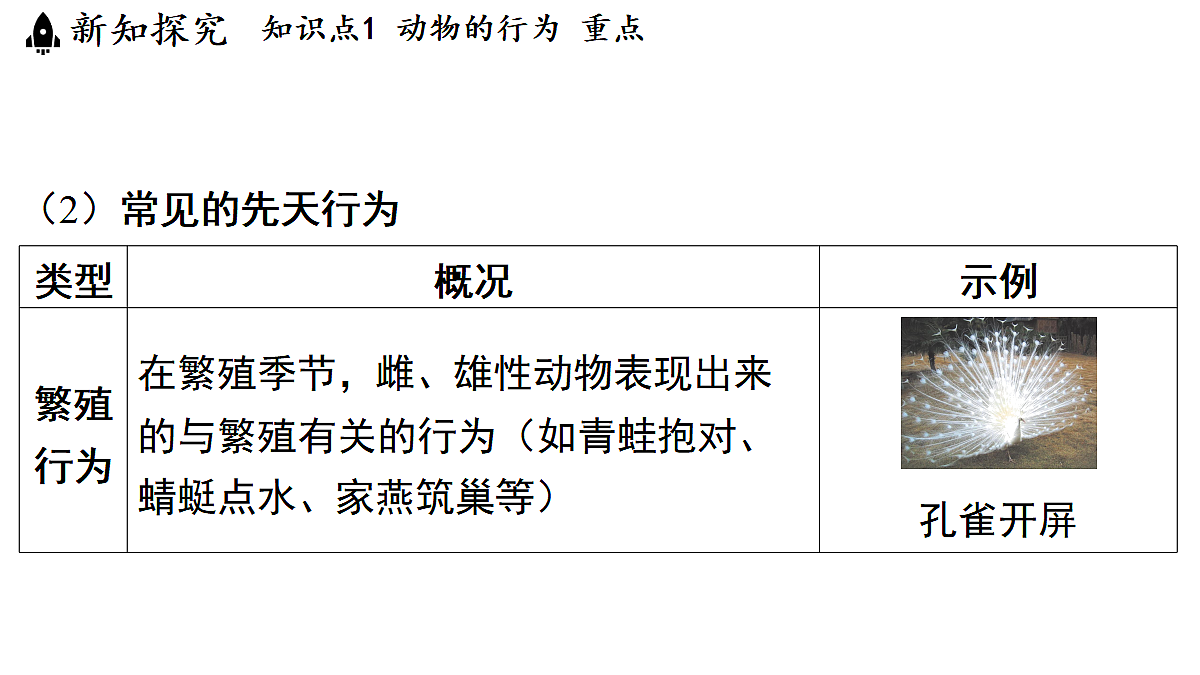18482239第8页