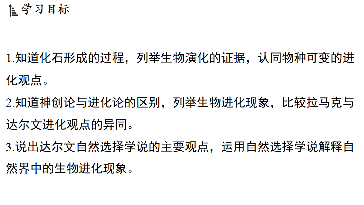 18482241第2页