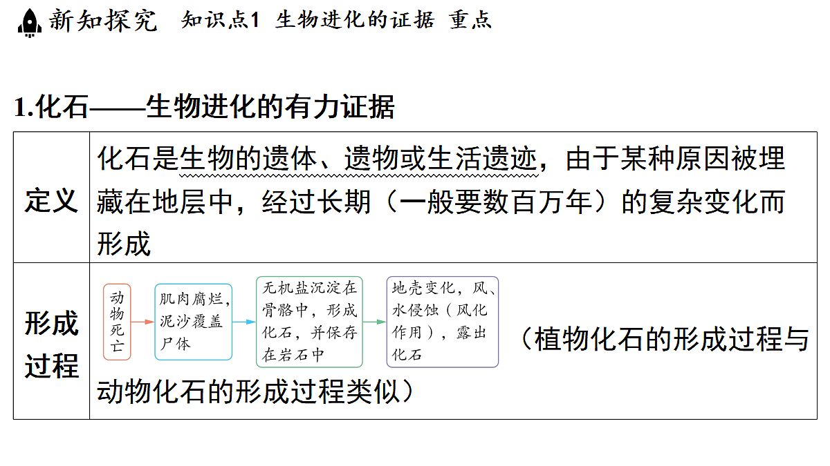 18482241第4页