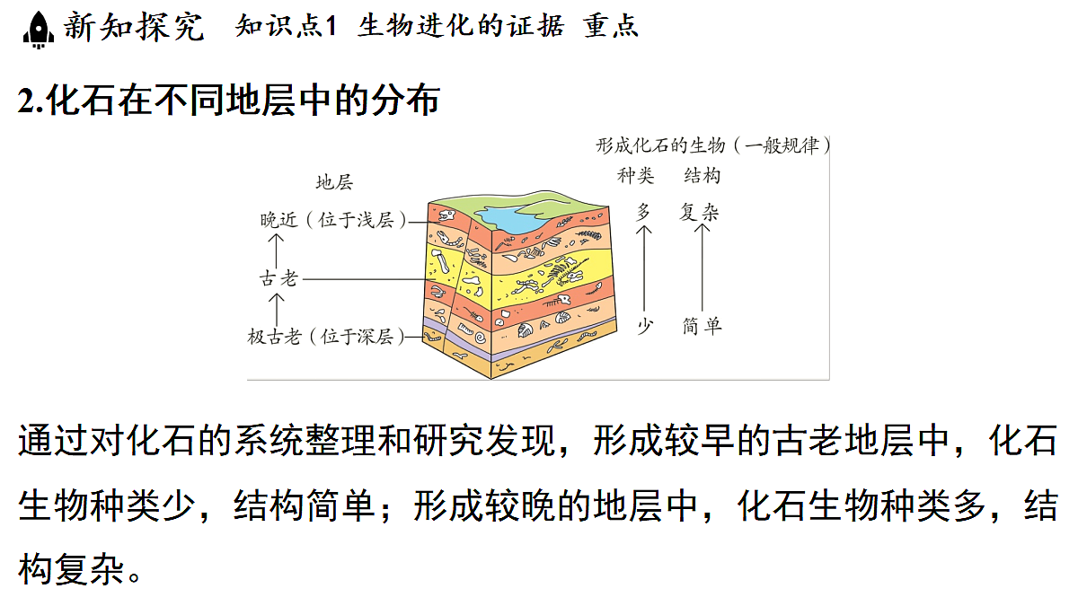 18482241第5页