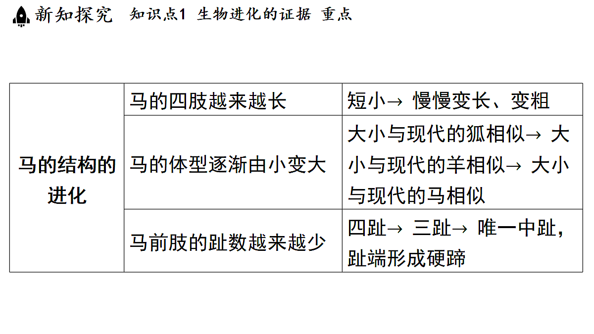18482241第7页
