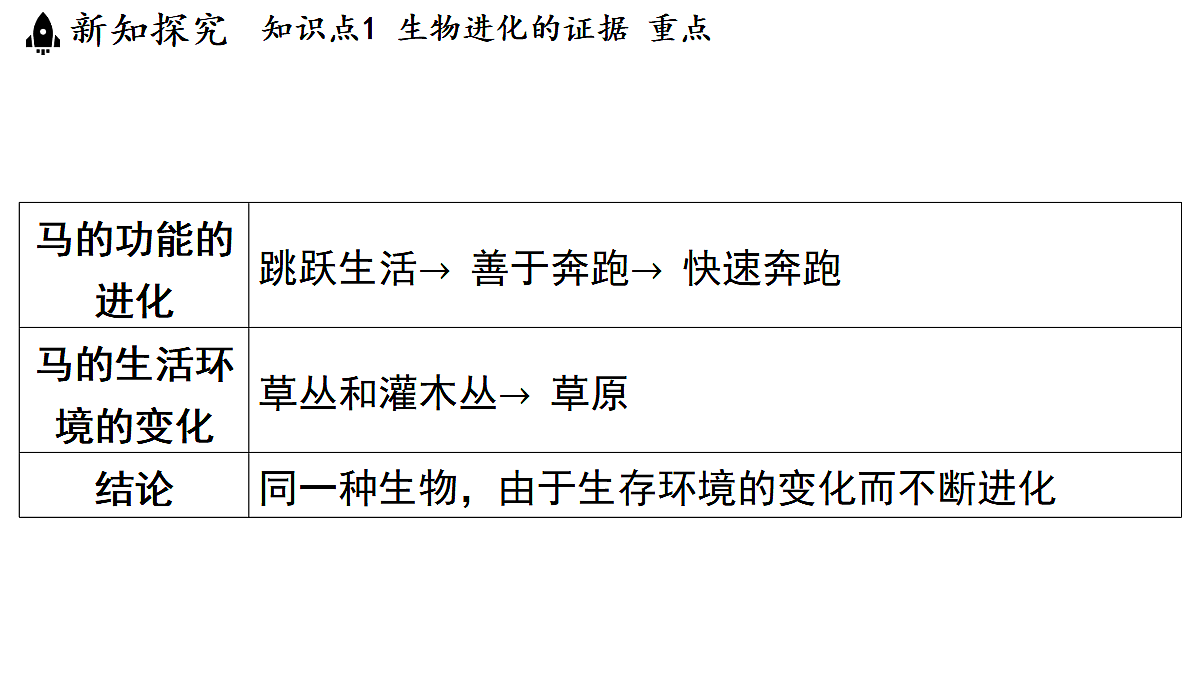 18482241第8页